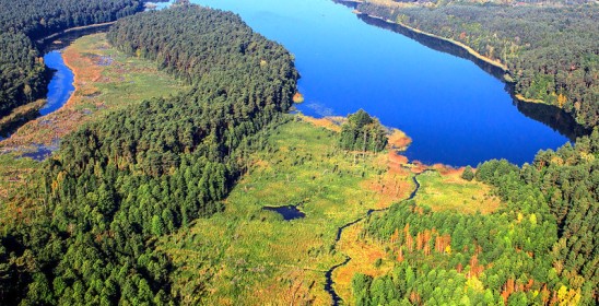 widok z góry na las i rzekę