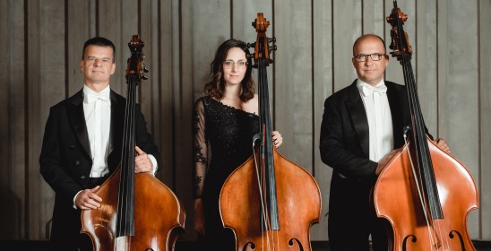 kobieta i mężczyźni trzymający kontrabasy