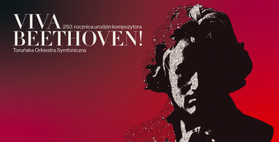 Grafika z identyfikacją projektu Viva Beethoven