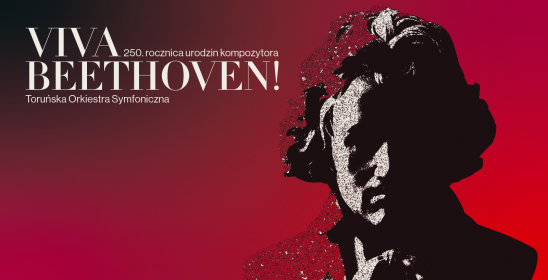 Grafika z identyfikacją projektu Viva Beethoven 