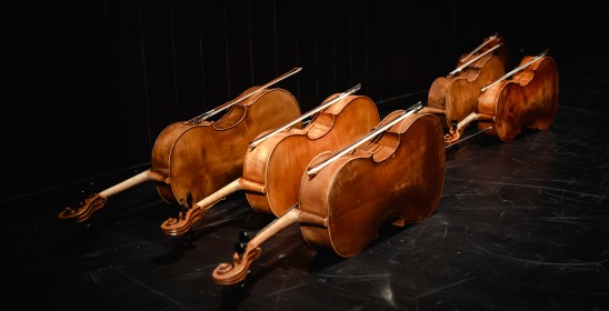 pięć wiolonczel leżących na podłodze