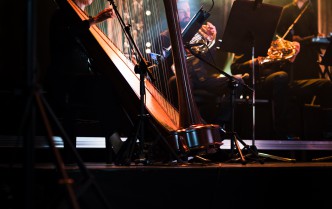 woman playing the harp