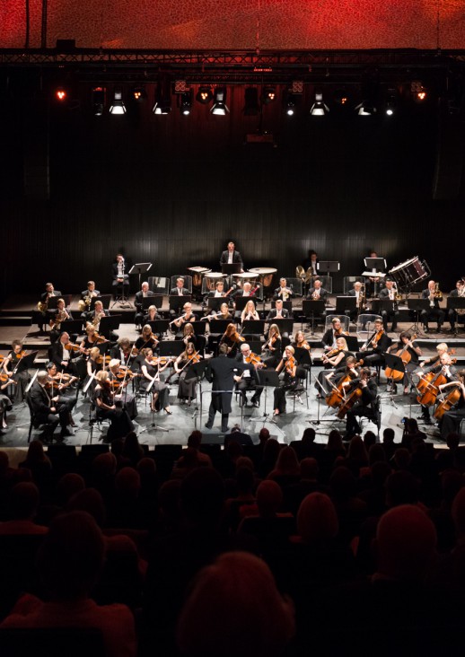 kobieta siedząca na krześle trzyma w rękach skrzypce