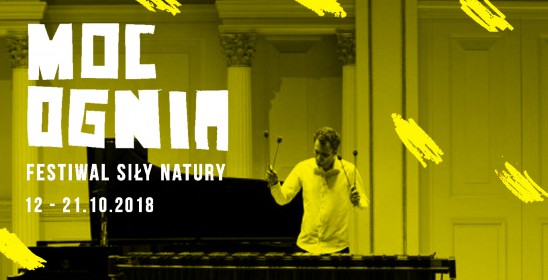 a man in a white shirt playing the marimba