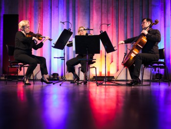 Trio instrumentów smyczkowych podczas koncertu